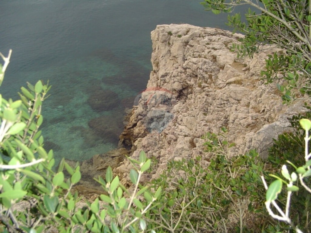 Image 5411107 - 1