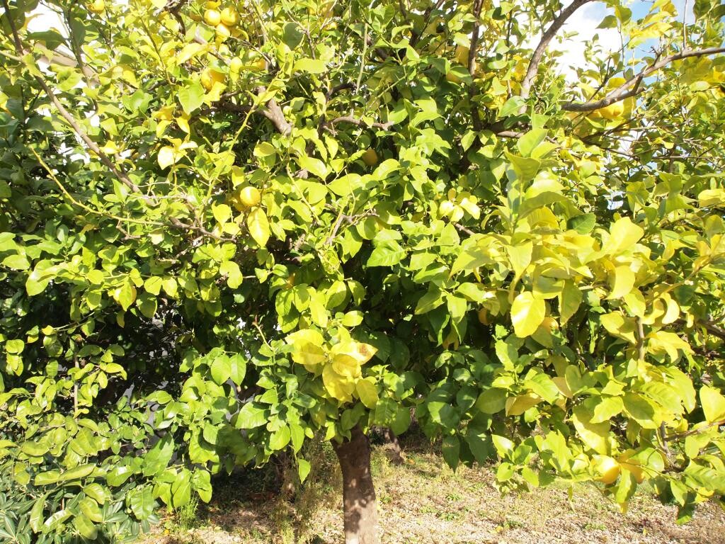 Image 3811984 - 9