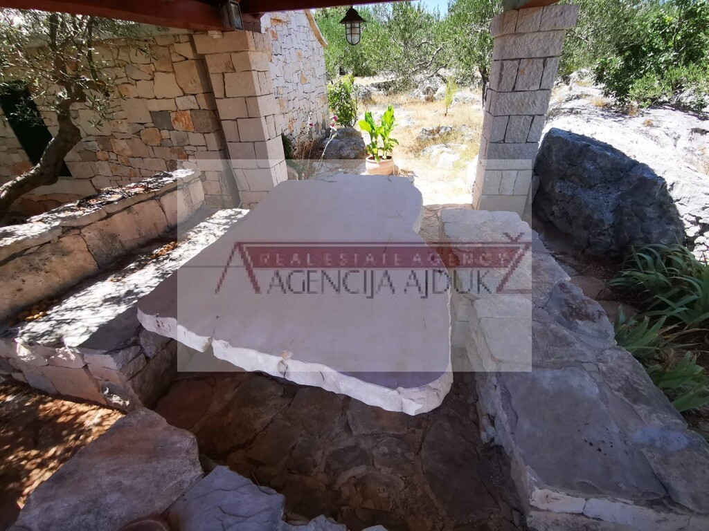 Image 15