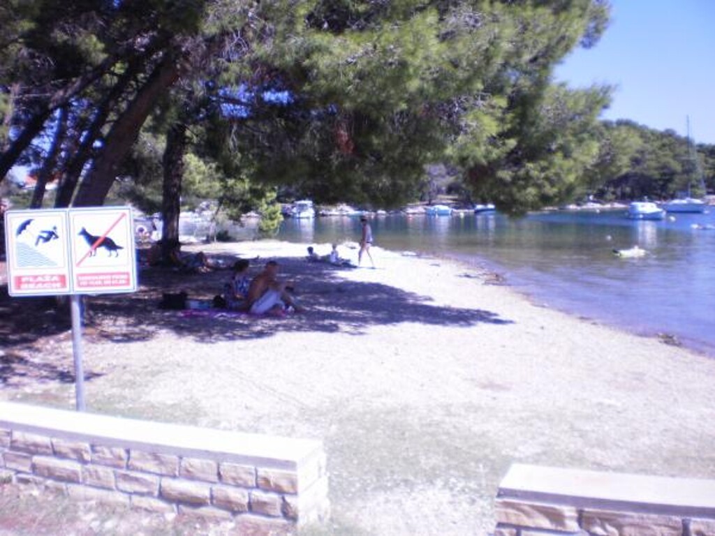 Image 3810706 - 6