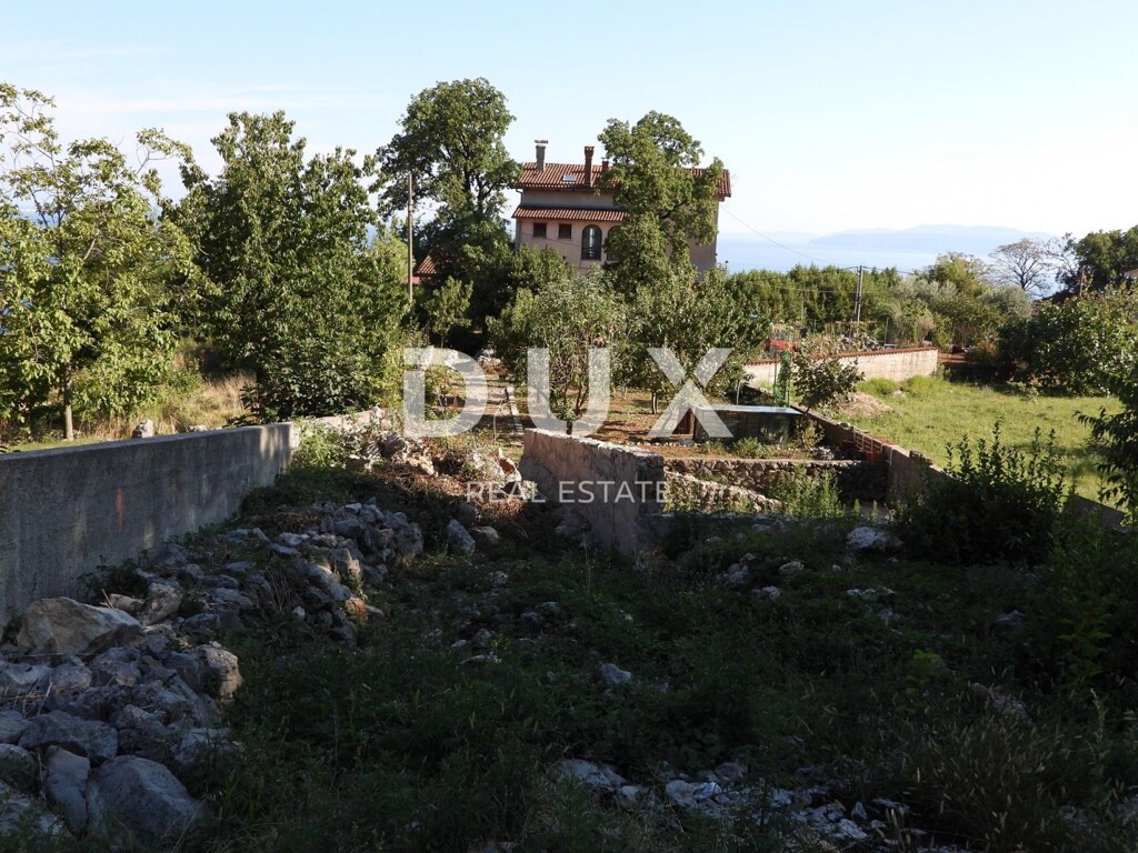 Image 23