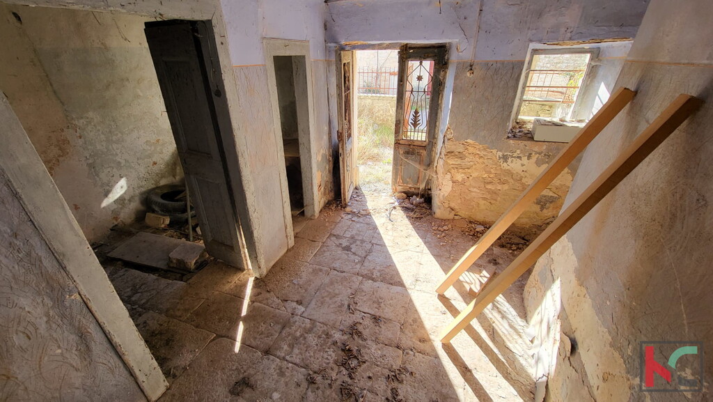Image 21