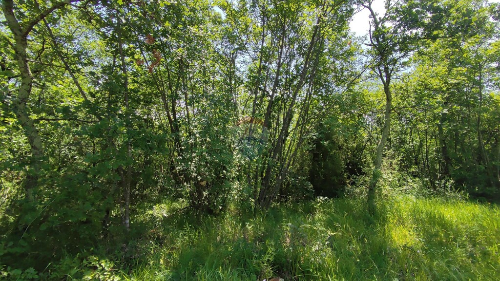 Image 5429736 - 3