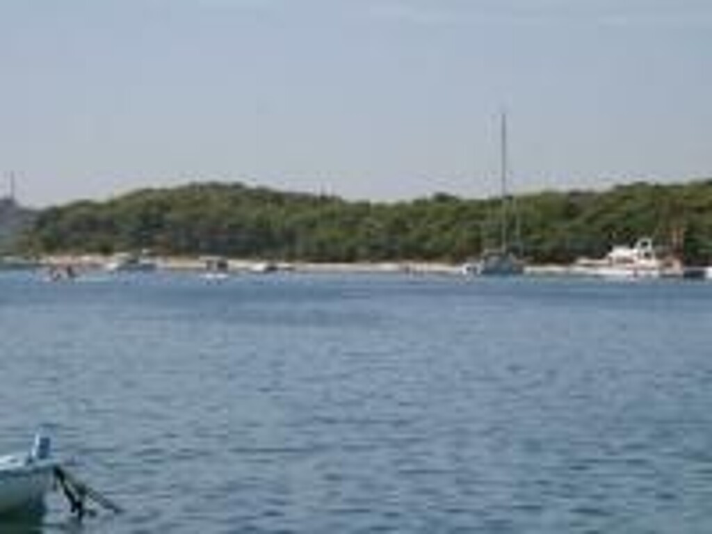 Image 3838871 - 13