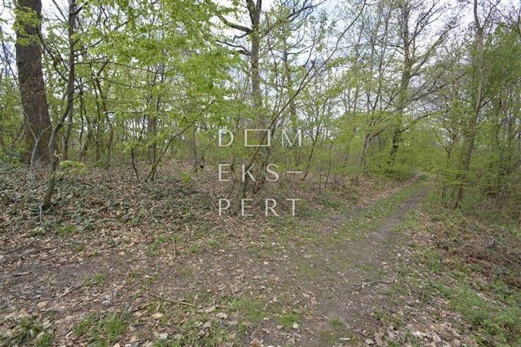 Image 5622173 - 5