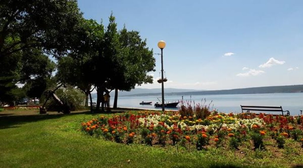 Image 3815185 - 8