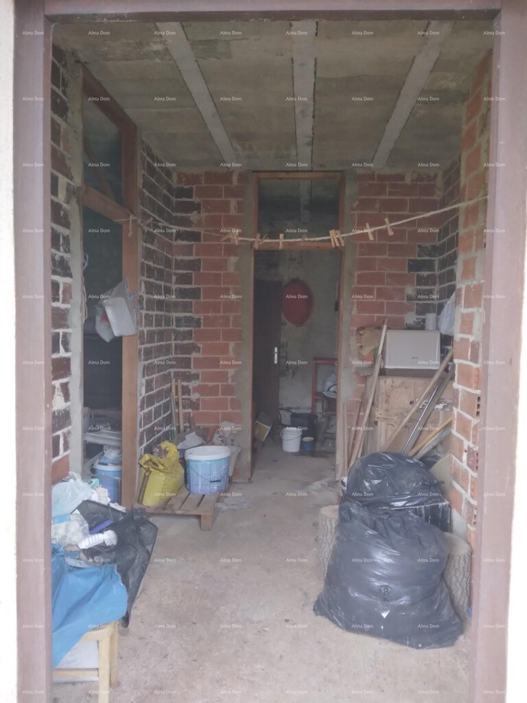 Image 19