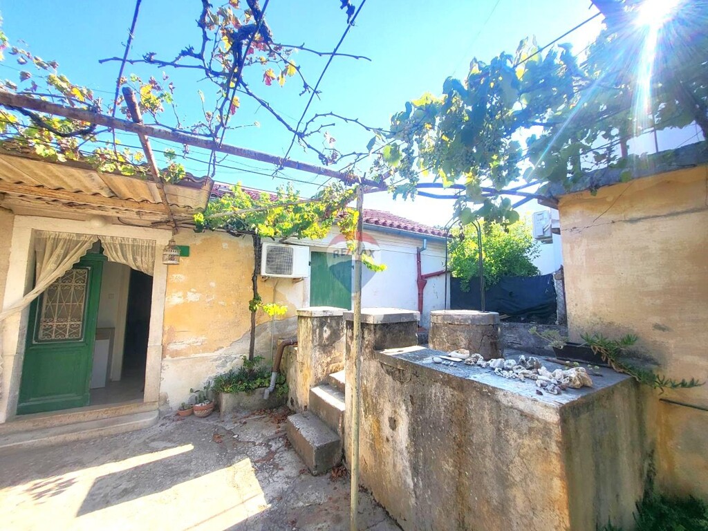 Image 19