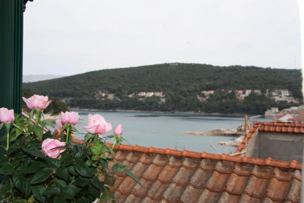 Image 3813973 - 15