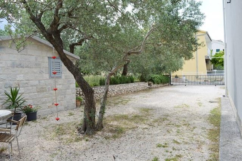 Image 3812940 - 7