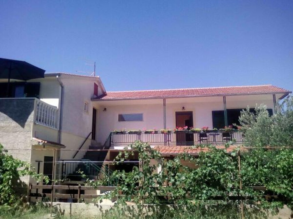 Image 3813603 - 1