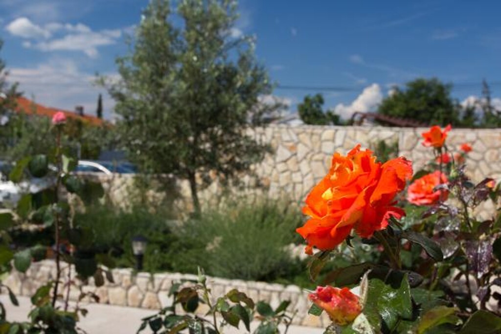Image 3838909 - 3