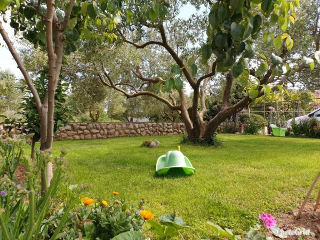 Image 3811633 - 15