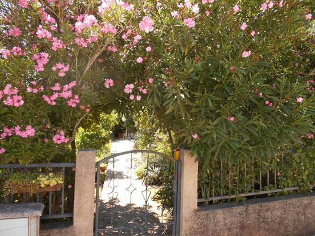 Image 3812045 - 4