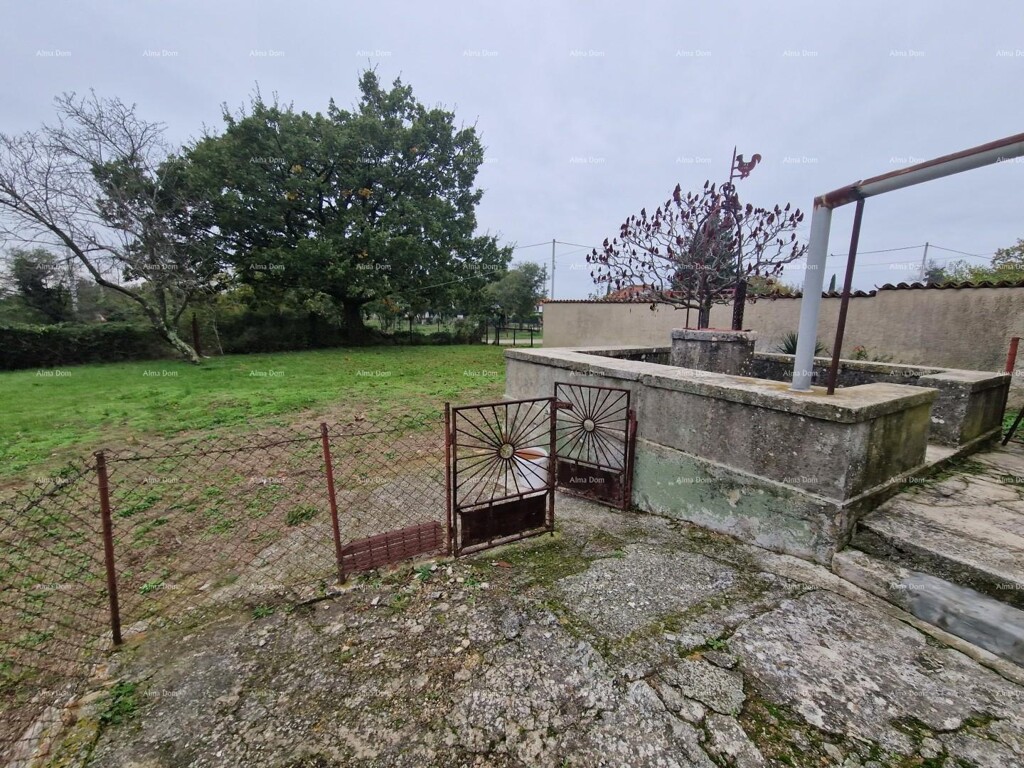 Image 15