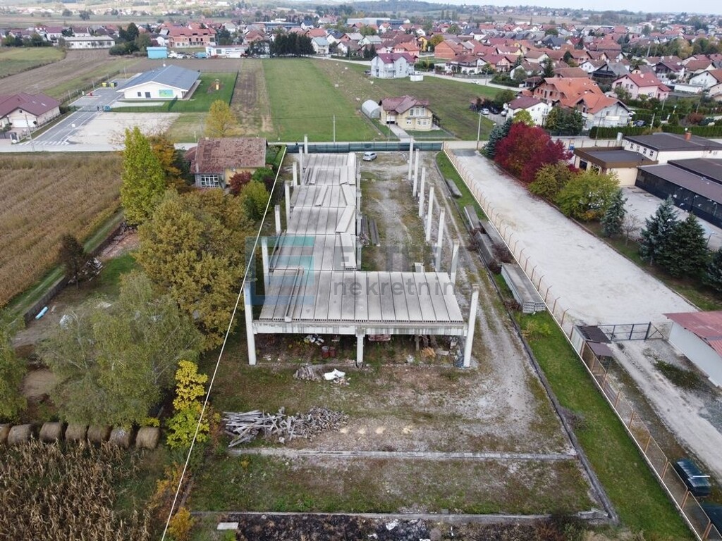 Image 12
