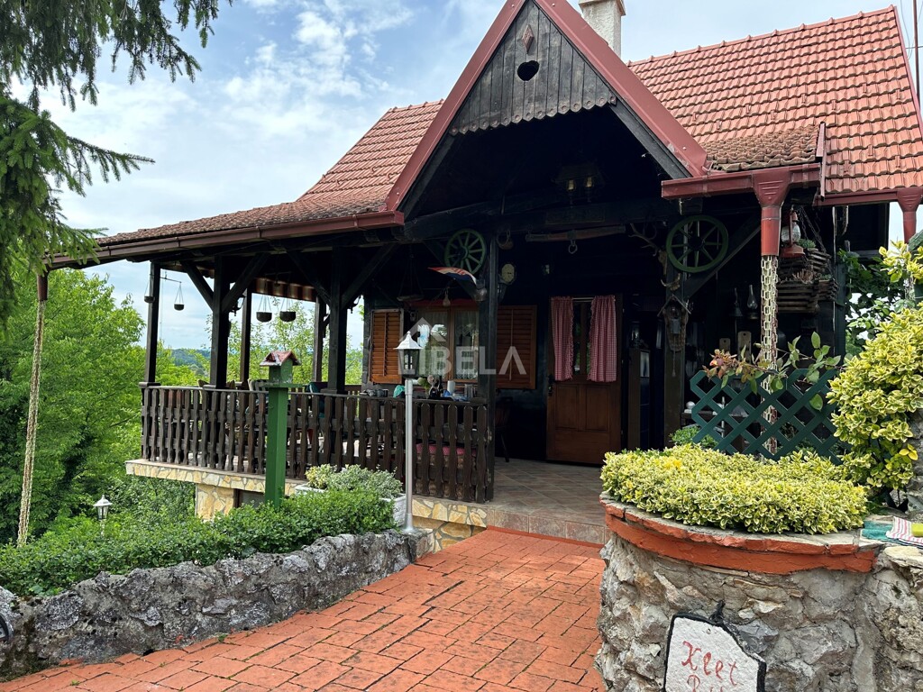 Image 19