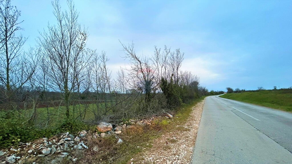 Image 5430109 - 1