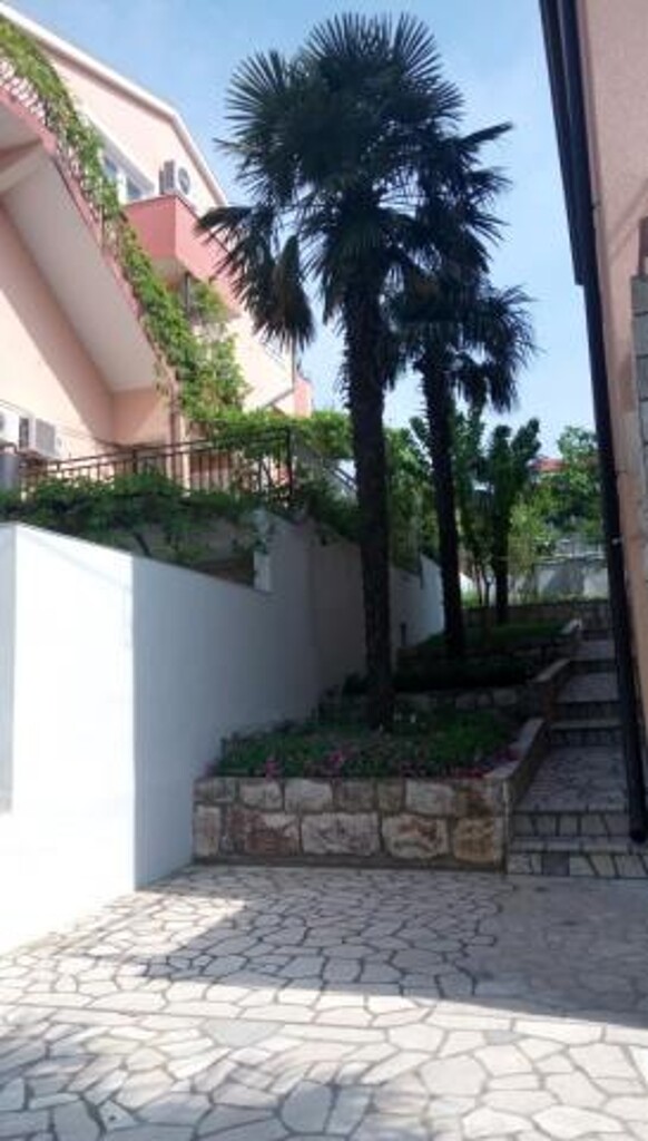 Image 3838761 - 3