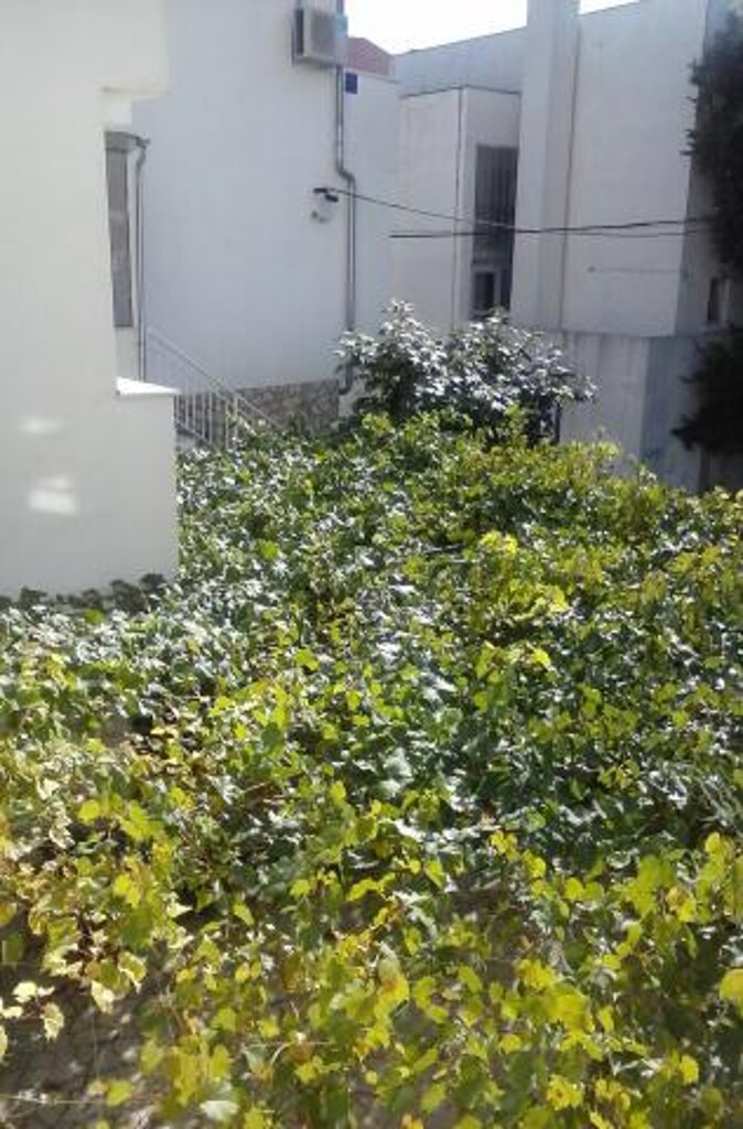 Image 3838524 - 17