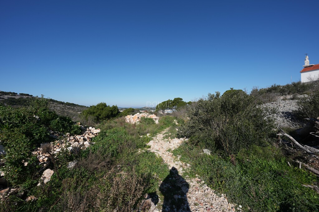 Image 8