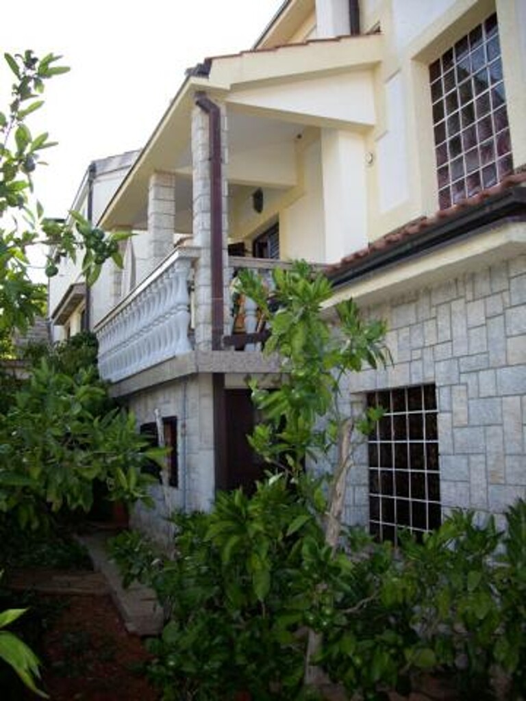 Image 3838756 - 4
