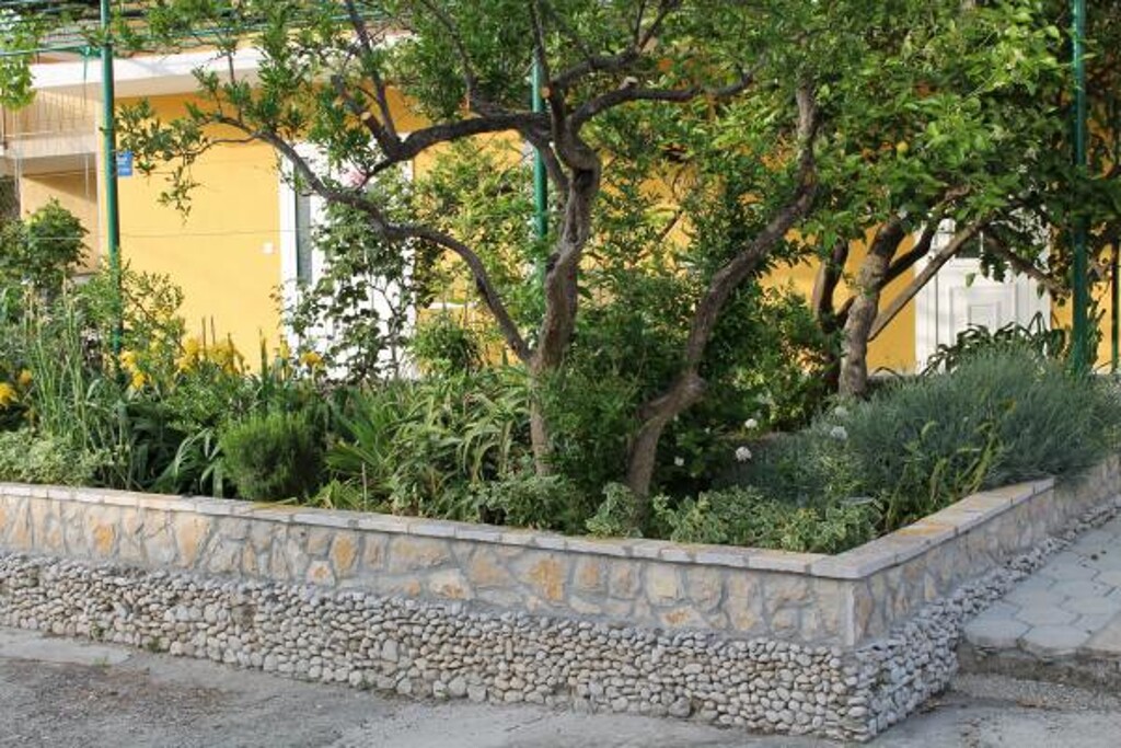 Image 3838903 - 10