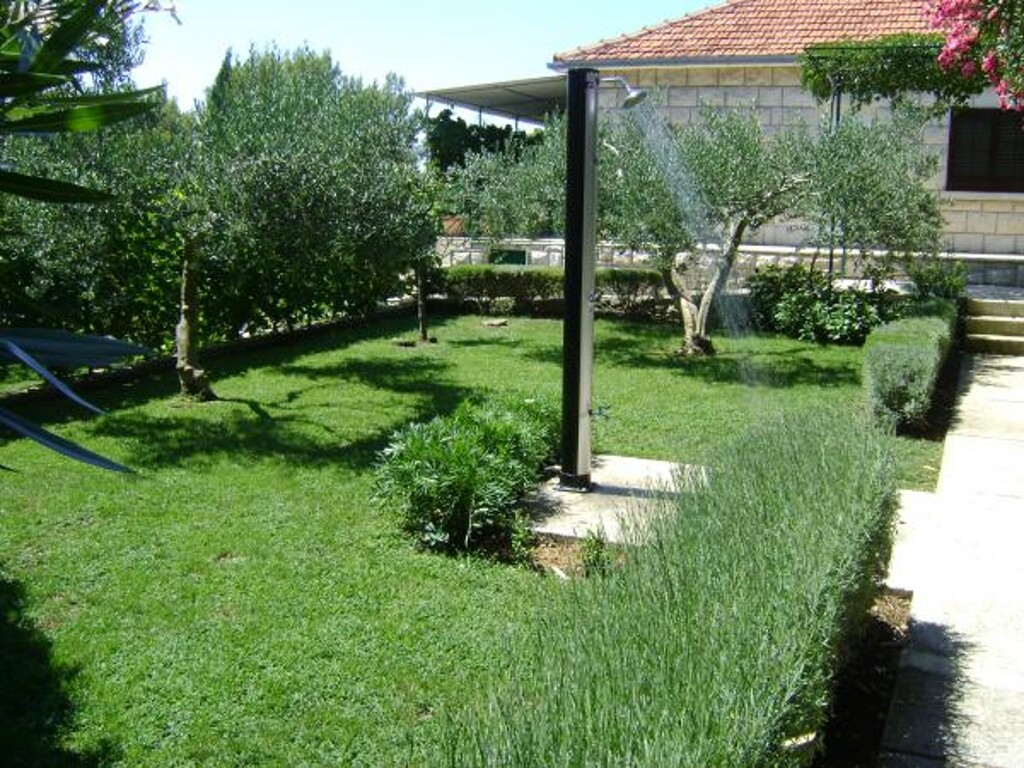 Image 3823106 - 11