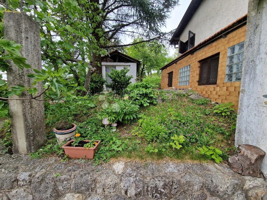 Image 16