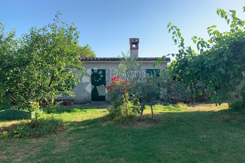 Image 10