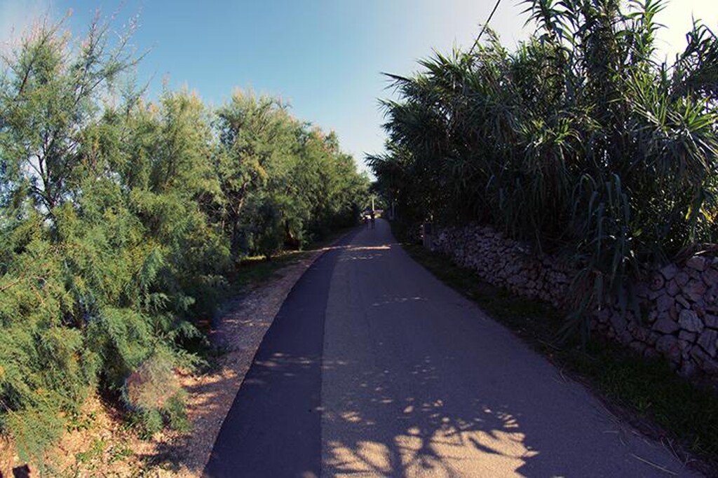 Image 3832237 - 28