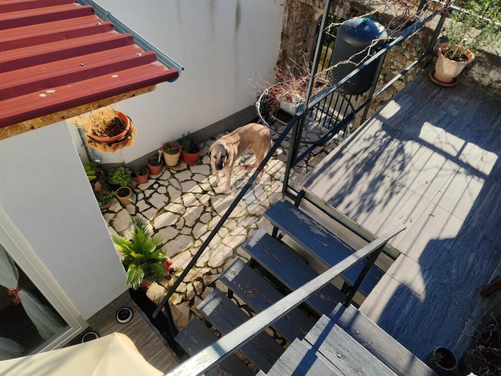 Image 13