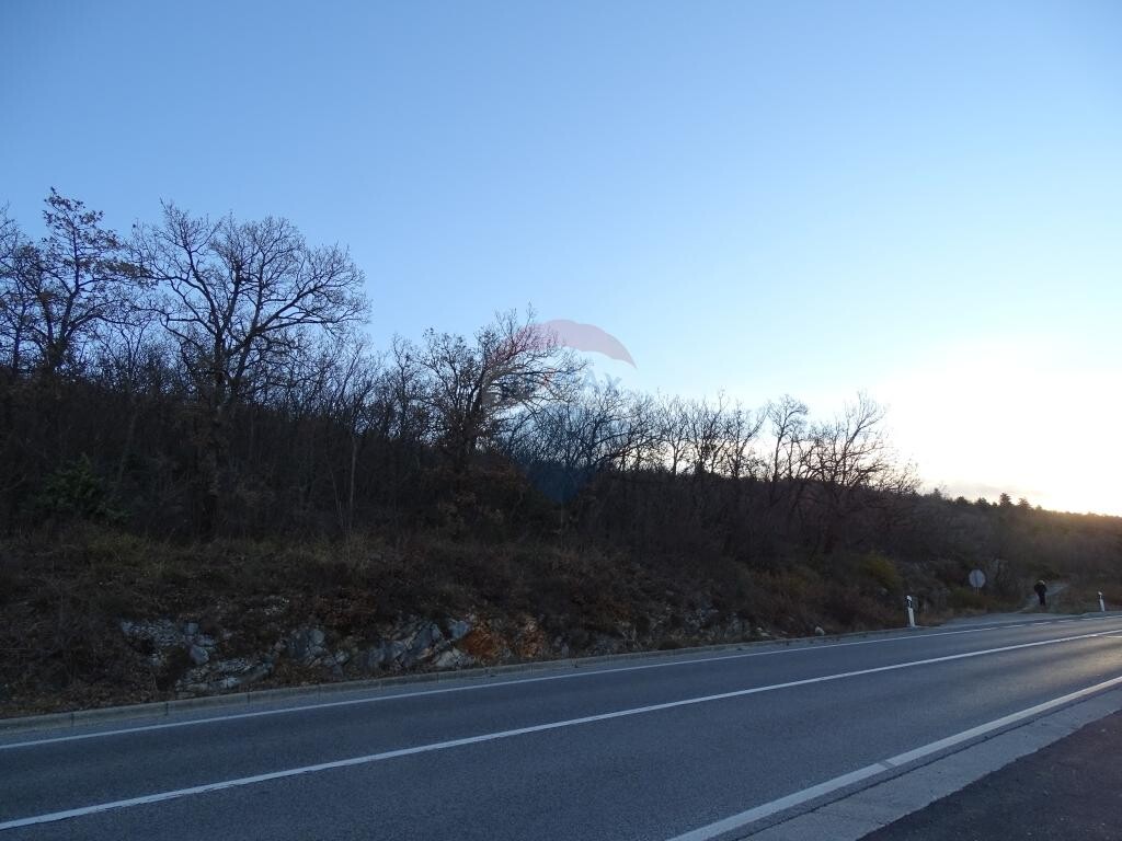 Image 5410607 - 5