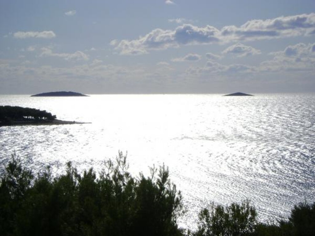 Image 3812221 - 1