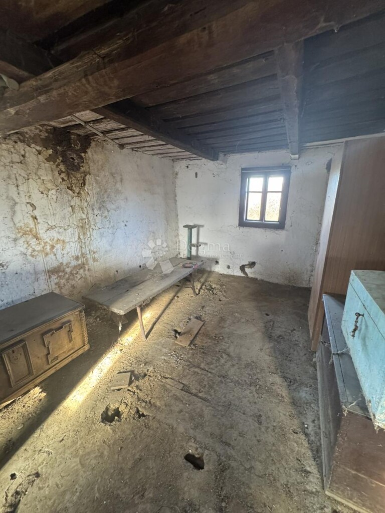 Image 14