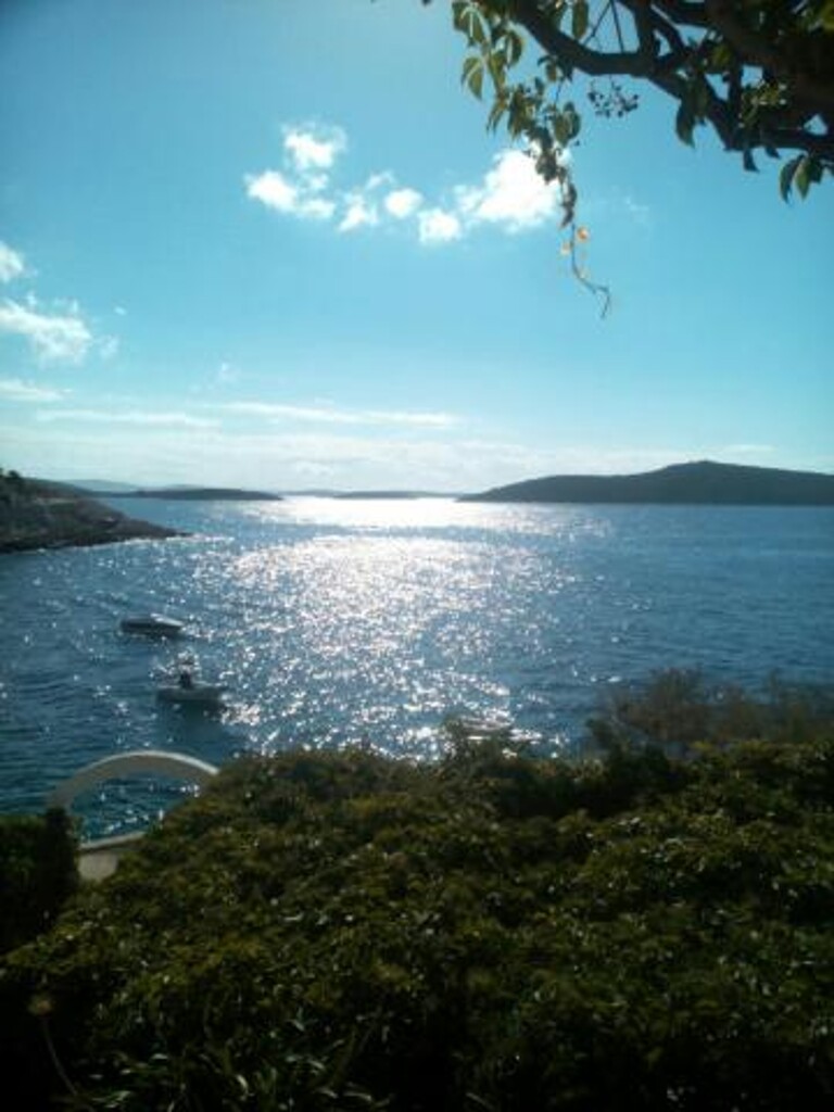 Image 3838607 - 8