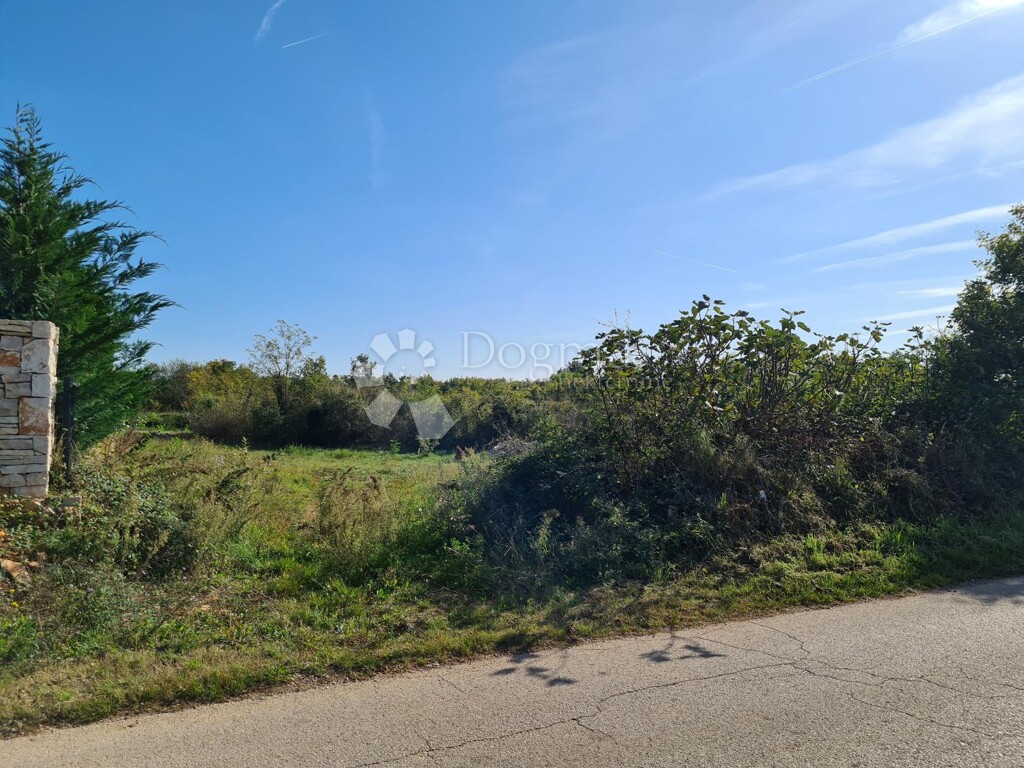 Image 15
