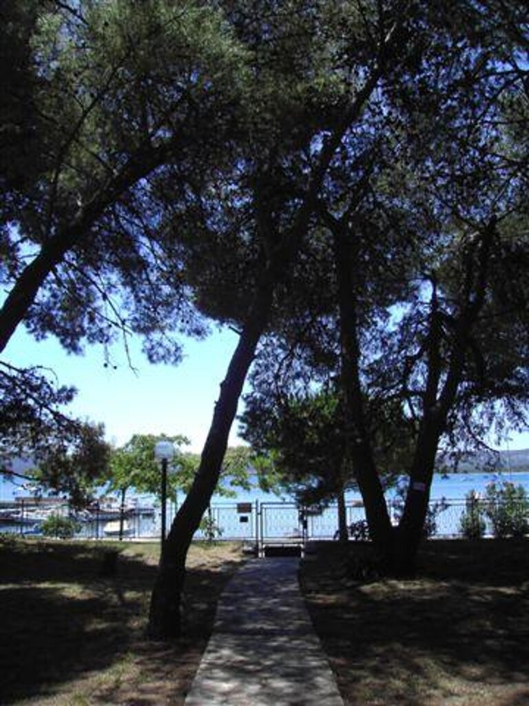 Image 3812511 - 4
