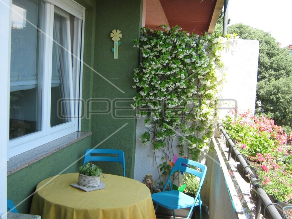 Image 13