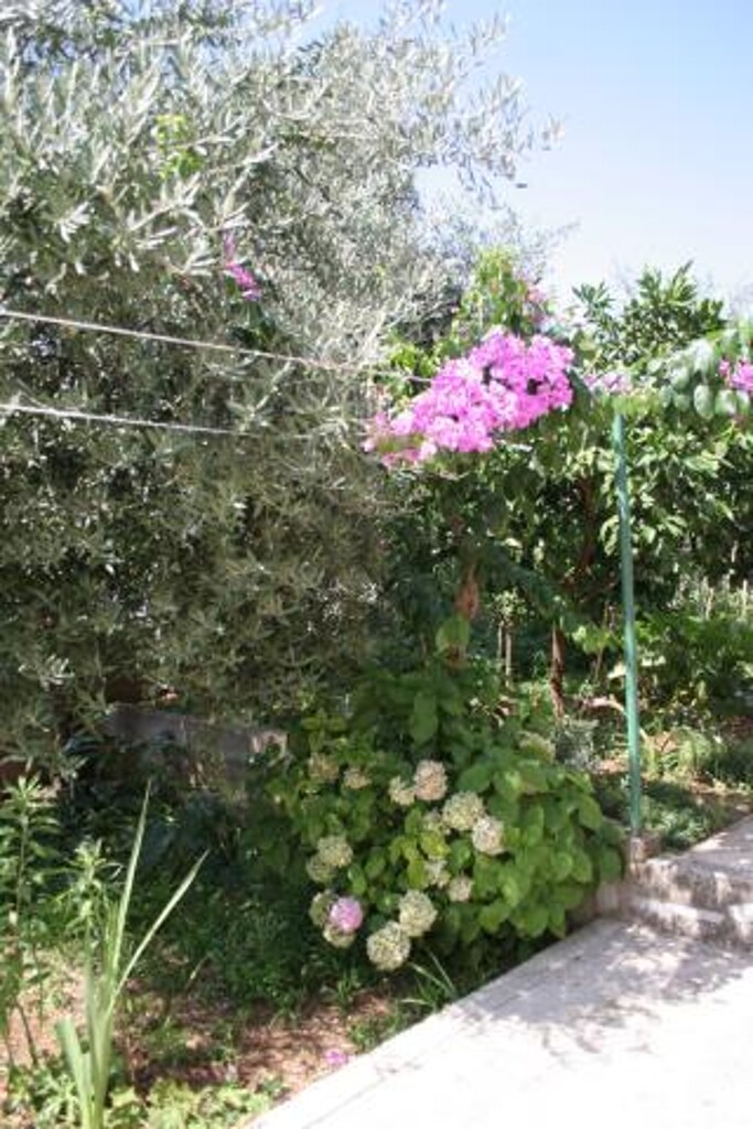 Image 3810857 - 5