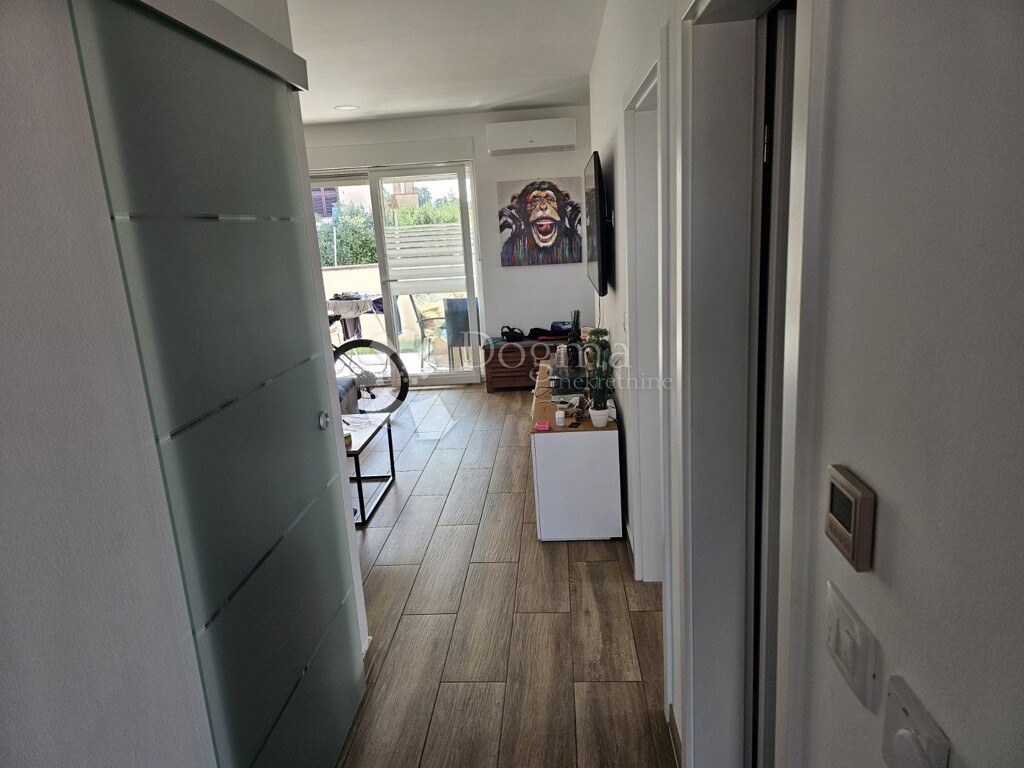 Image 12