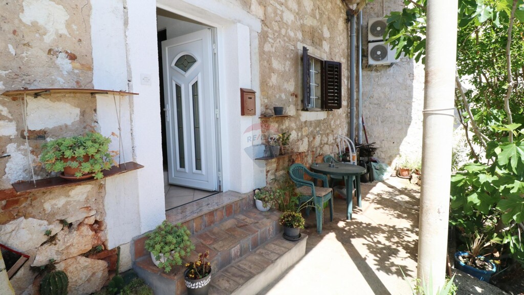 Image 19