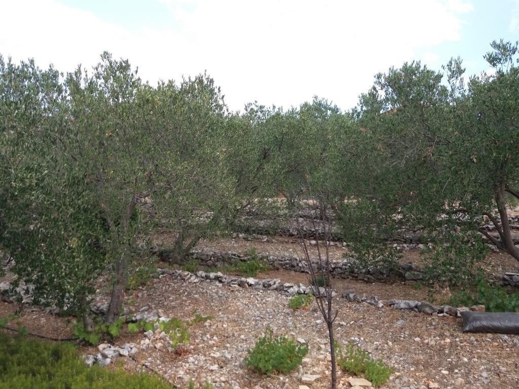 Image 3838999 - 22