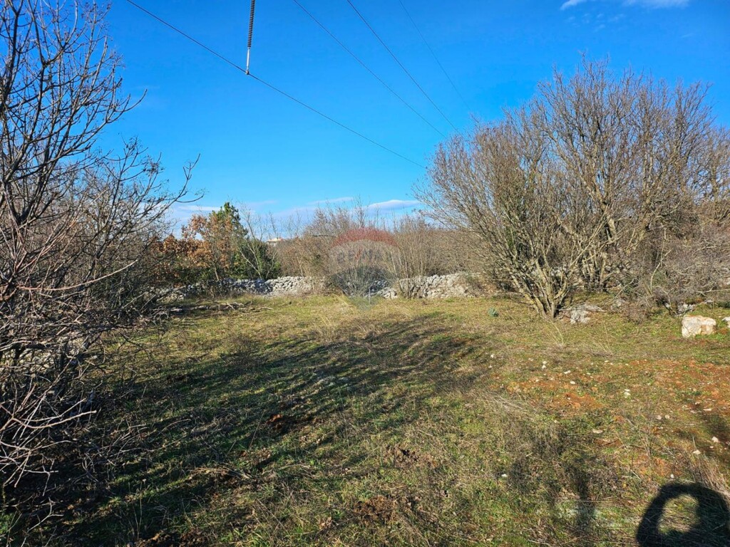 Image 5418354 - 1