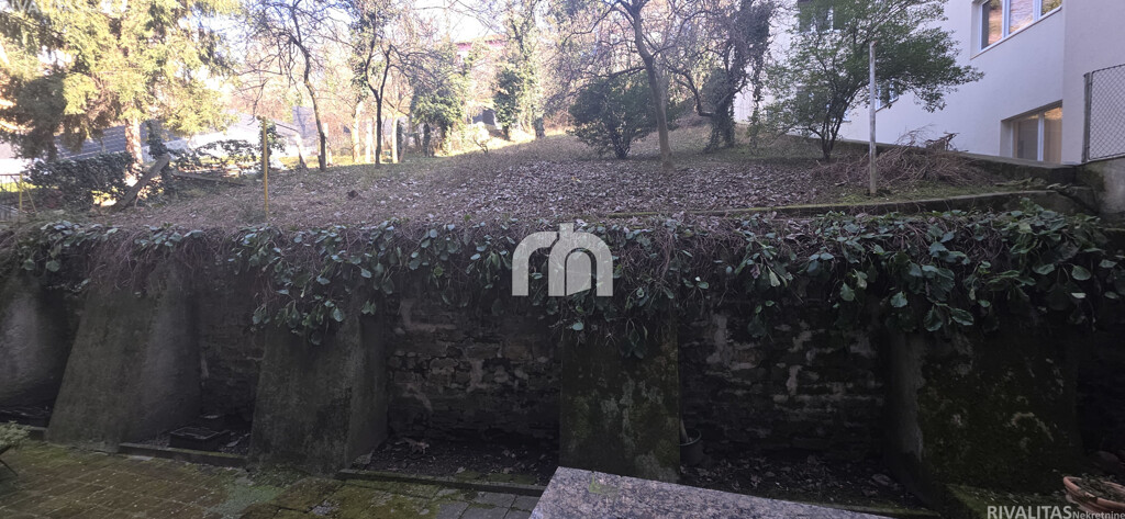 Image 13