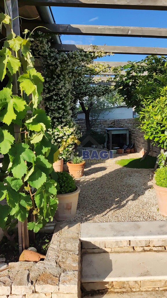 Image 23