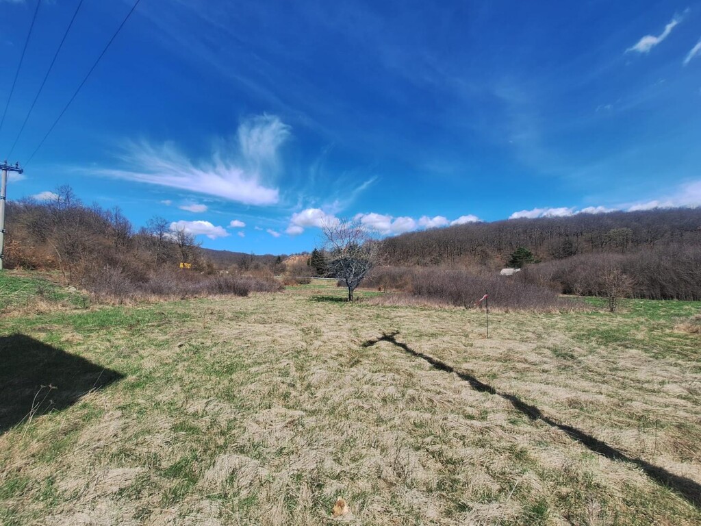 Image 14