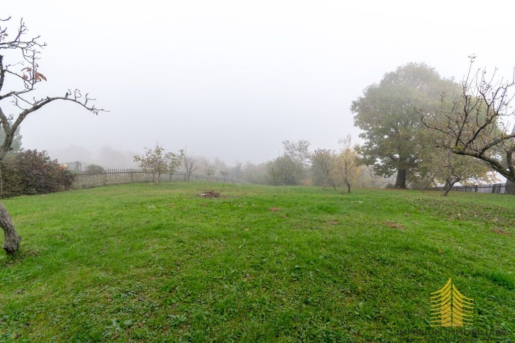 Image 13