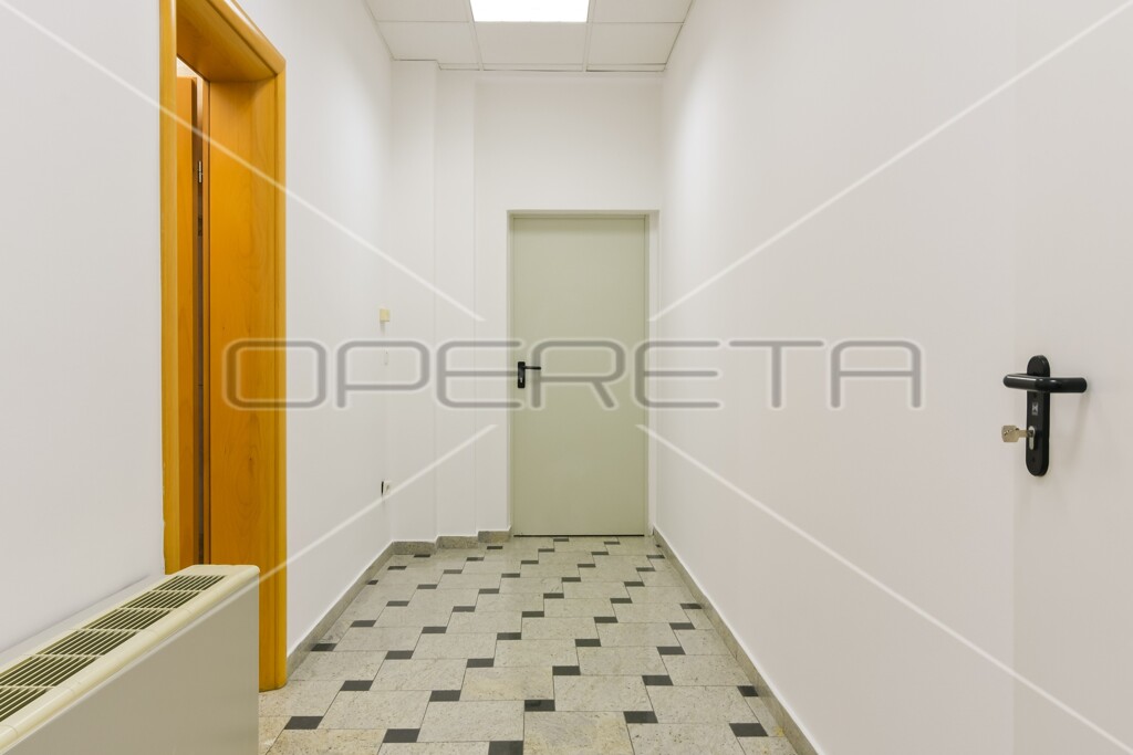 Image 13