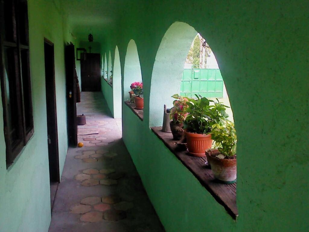 Image 4